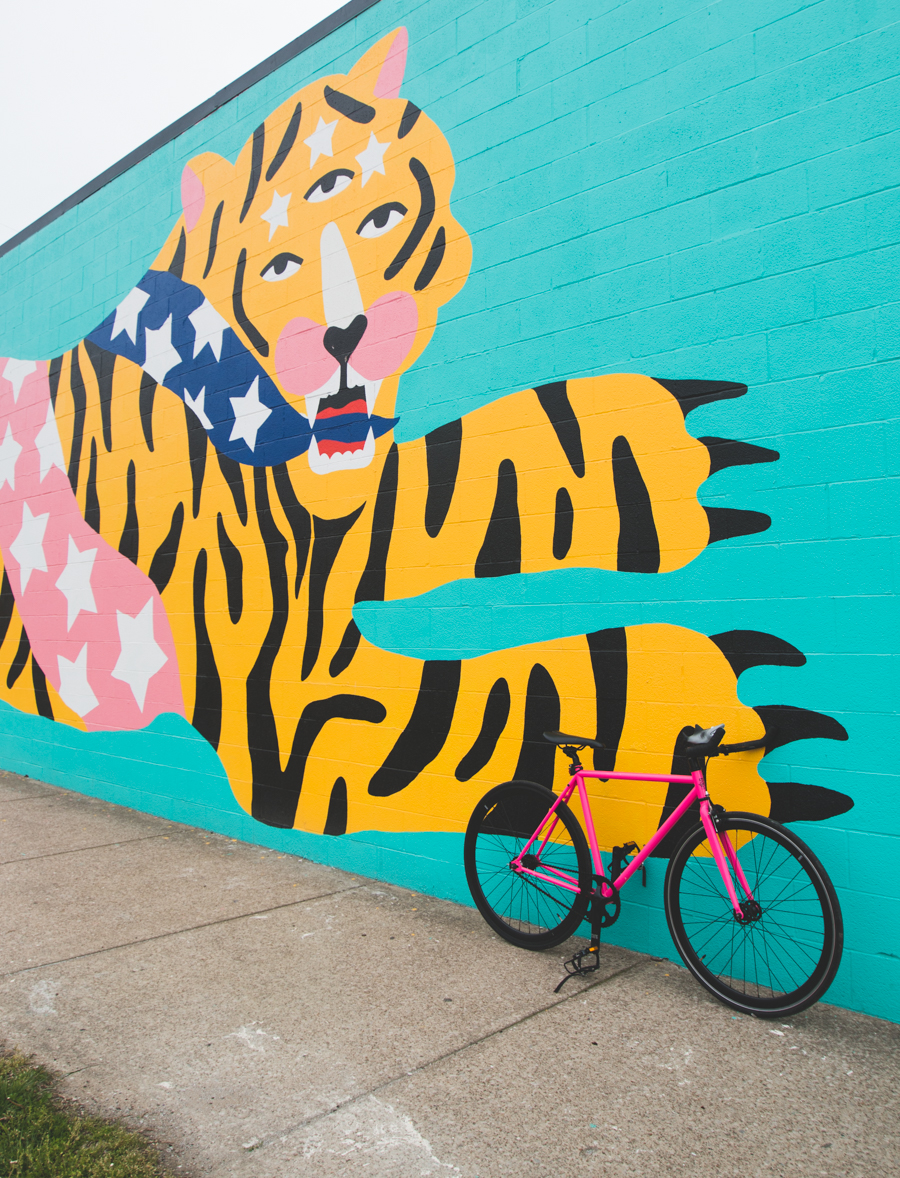 state bicycle, pink fixed gear, hot pink fixie