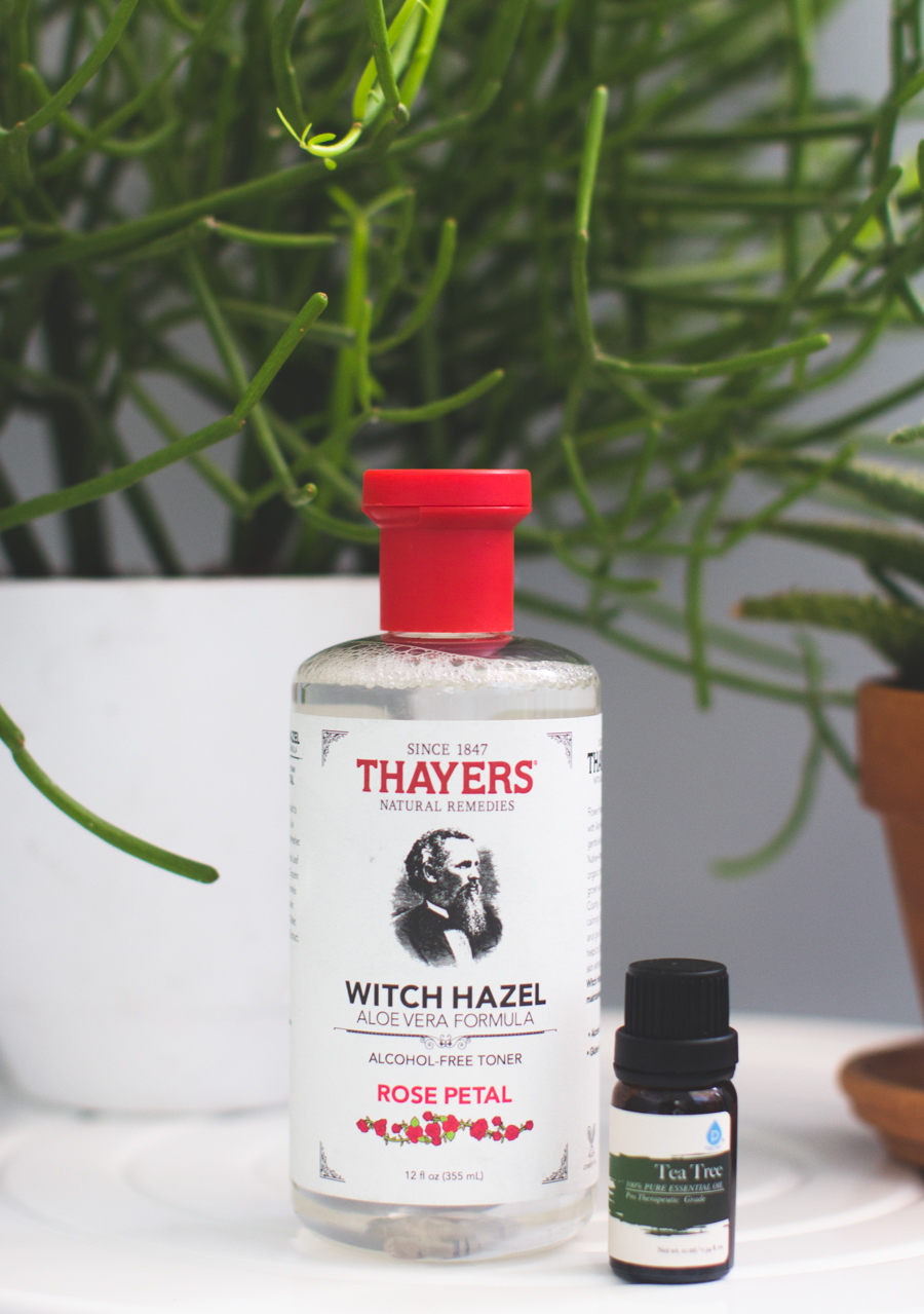 rose petal, witch hazel, skin care routine