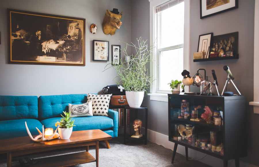 dainty squid living room tour