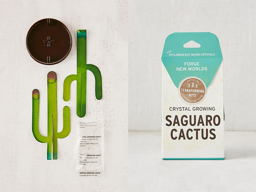 crystal saguaro cactus