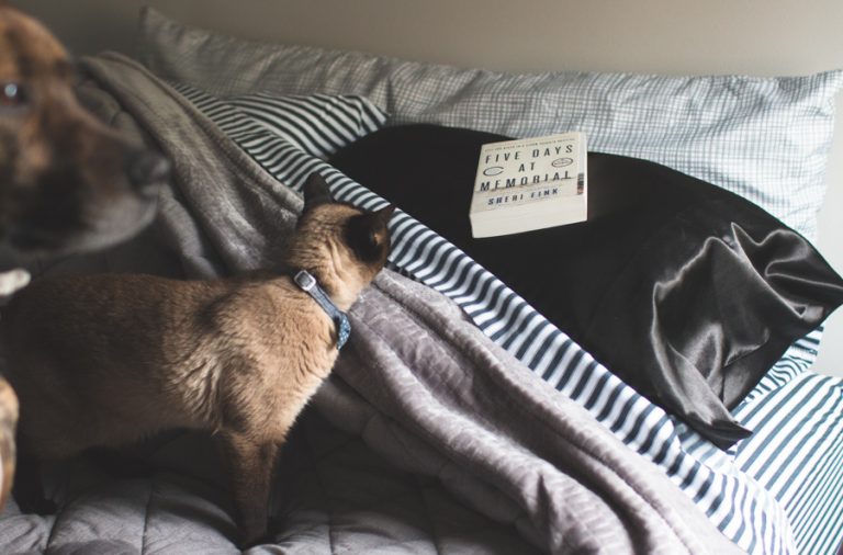 how to clean up hair dye messes THE DAINTY SQUID